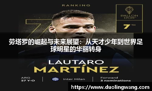 星空体育平台官网入口